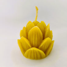 Lade das Bild in den Galerie-Viewer, Lotus Blüten, Kerze aus 100% Bienenwachs
