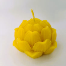 Lade das Bild in den Galerie-Viewer, Lotus Blüten, Kerze aus 100% Bienenwachs

