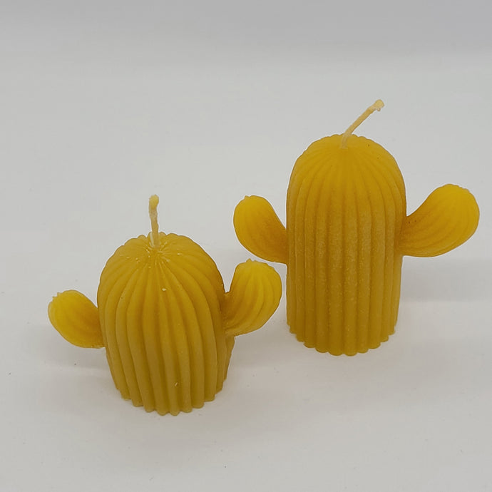Kaktus Kerzen Set aus 100% Bienenwachs